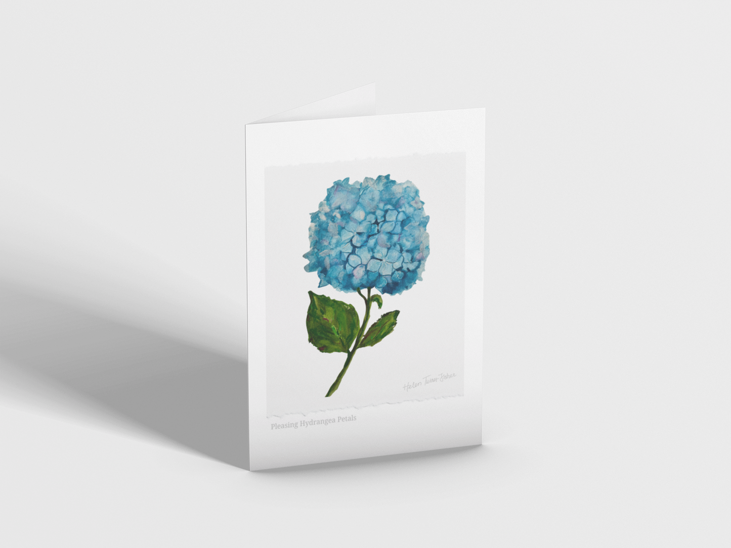 Pleasing Hydrangea Petals - Greeting Card