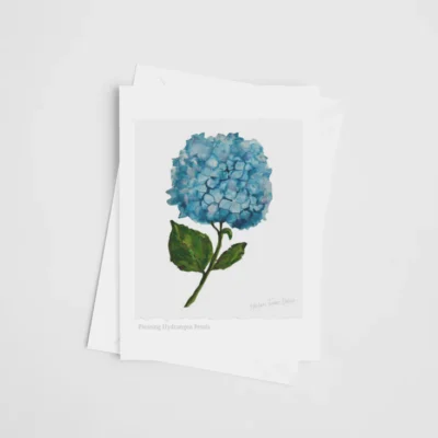Pleasing Hydrangea Petals - Greeting Card - Image 2