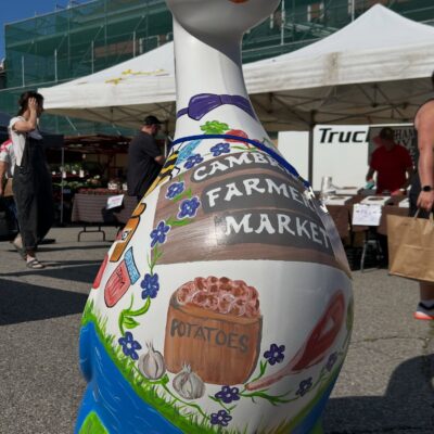 cambridge farmers market goose